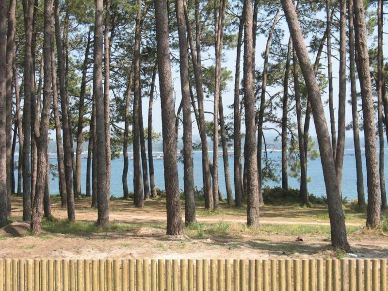 Excelente Apartamento En La Isla De Arosa Appartement Buitenkant foto